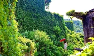 Ngôi làng bị cây xanh 'nuốt trọn' ở Trung Quốc