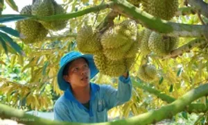 Trung Quốc siết quy định nhập khẩu nông sản